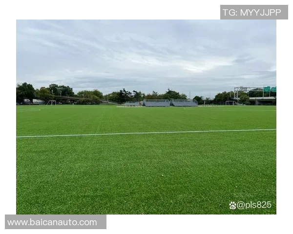 绿茵场上逐梦少年闪耀光芒唯美瞬间定格热血与优雅