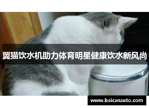 翼猫饮水机助力体育明星健康饮水新风尚