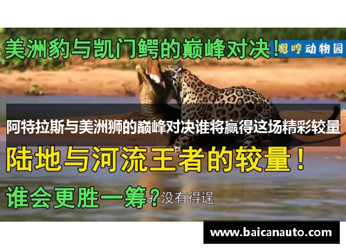 阿特拉斯与美洲狮的巅峰对决谁将赢得这场精彩较量